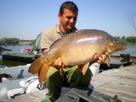 risee_mor_2009.julius_24..jpg